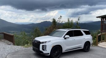 현대차, 흰색 차량 도장 결함 논란에 결국 보증 연장